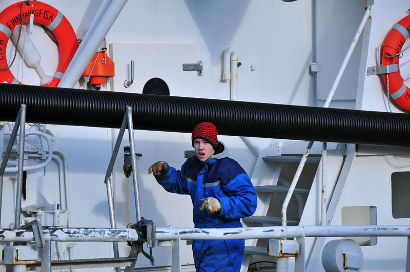 Scandinavie, Norvge, Sude, Finlande